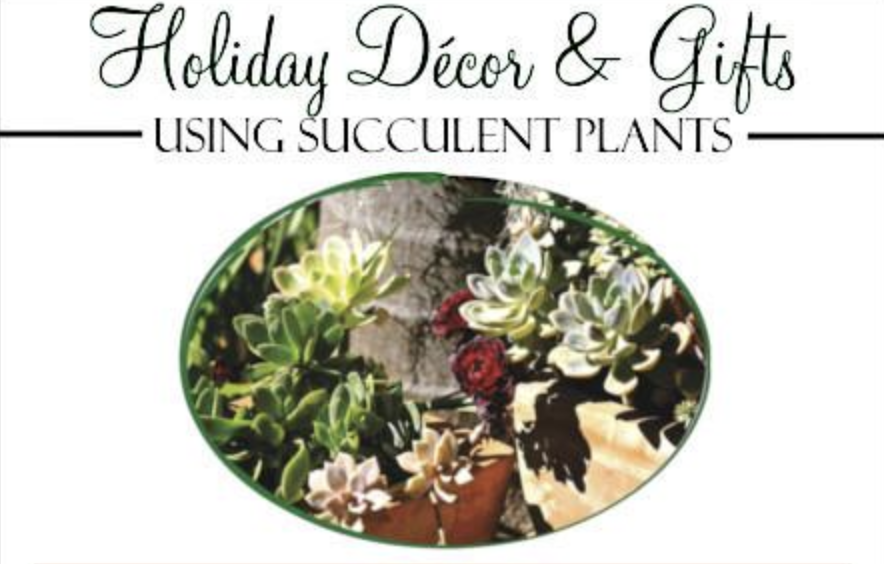 Holiday Decor & Gifts Using Succulents Workshop